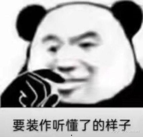 表情包本人,笑对人生